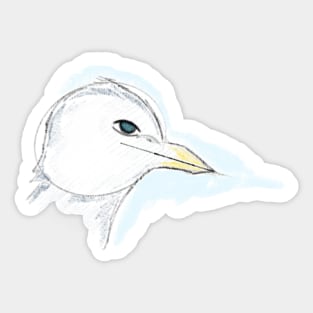 Bird sketch Sticker